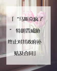 “马斯克疯了” 特朗普威胁终止对其政府补贴及合同