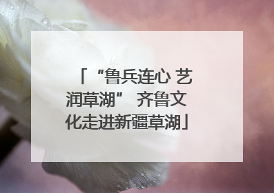 “鲁兵连心 艺润草湖” 齐鲁文化走进新疆草湖