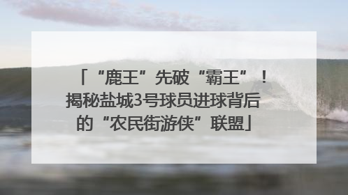“鹿王”先破“霸王”！揭秘盐城3号球员进球背后的“农民街游侠”联盟