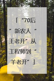 “70后”新农人“王老开”从工程师到“羊老开”