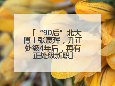 “90后”北大博士张宸珲，升正处级4年后，再有正处级新职