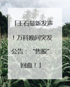 王石最新发声！万科晚间突发公告：“售股”回血！