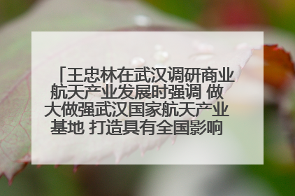 王忠林在武汉调研商业航天产业发展时强调 做大做强武汉国家航天产业基地 打造具有全国影响力的“中国星谷”