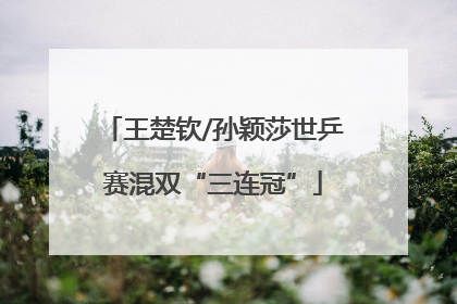 王楚钦/孙颖莎世乒赛混双“三连冠”