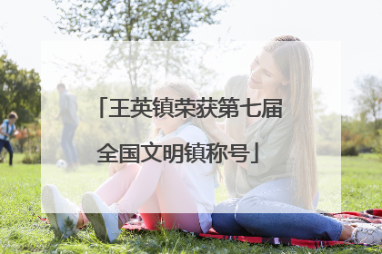 王英镇荣获第七届全国文明镇称号