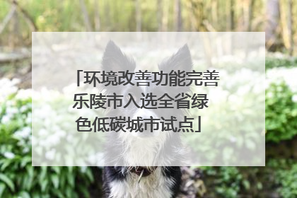 环境改善功能完善 乐陵市入选全省绿色低碳城市试点