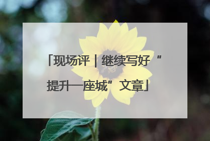 现场评｜继续写好“提升一座城”文章