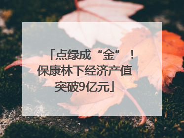 点绿成“金”！保康林下经济产值突破9亿元