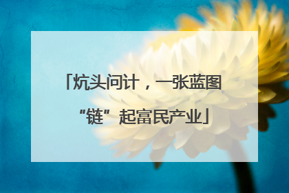 炕头问计，一张蓝图“链”起富民产业