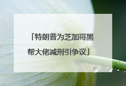 特朗普为芝加哥黑帮大佬减刑引争议
