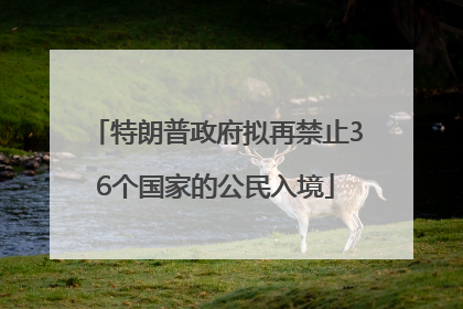 特朗普政府拟再禁止36个国家的公民入境