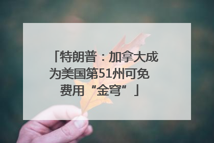 特朗普：加拿大成为美国第51州可免费用“金穹”