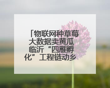物联网种草莓 大数据卖黄瓜 临沂“四雁孵化”工程链动乡村共富