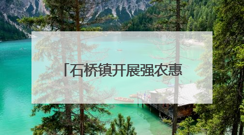 石桥镇开展强农惠农政策宣传活动