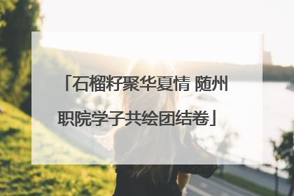 石榴籽聚华夏情 随州职院学子共绘团结卷