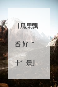 瓜果飘香 好“丰”景