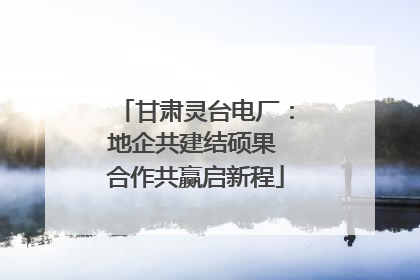 甘肃灵台电厂：地企共建结硕果 合作共赢启新程