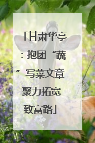 甘肃华亭：抱团“蔬”写菜文章 聚力拓宽致富路