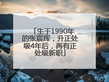生于1990年的张宸珲，升正处级4年后，再有正处级新职