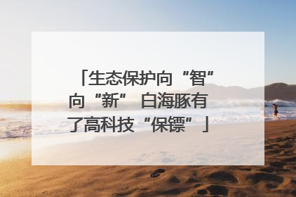 生态保护向“智”向“新” 白海豚有了高科技“保镖”