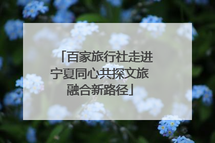 百家旅行社走进宁夏同心共探文旅融合新路径