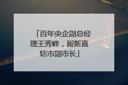 百年央企副总经理王秀峰，履新直辖市副市长
