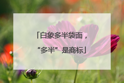 白象多半袋面，“多半”是商标