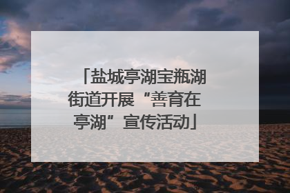 盐城亭湖宝瓶湖街道开展“善育在亭湖”宣传活动