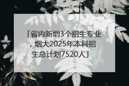 省内新增3个招生专业，烟大2025年本科招生总计划7520人