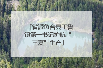 省派鱼台县王鲁镇第一书记护航“三夏”生产