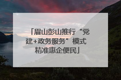 眉山彭山推行“党建+政务服务”模式 精准惠企便民