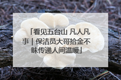 看见五台山 凡人凡事｜保洁员大哥拾金不昧传递人间温暖