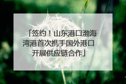 签约！山东港口渤海湾港首次携手国外港口开展供应链合作