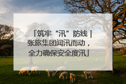 筑牢“汛”防线｜张旅集团闻汛而动，全力确保安全度汛