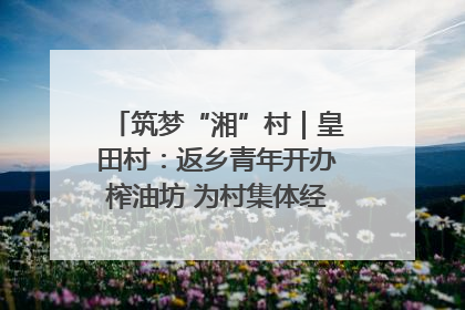 筑梦“湘”村｜皇田村：返乡青年开办榨油坊 为村集体经济“加油”
