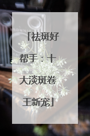 祛斑好帮手：十大淡斑卷王新宠