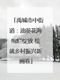 禹城市中街道：油葵花海绚烂绽放 绘就乡村振兴新画卷