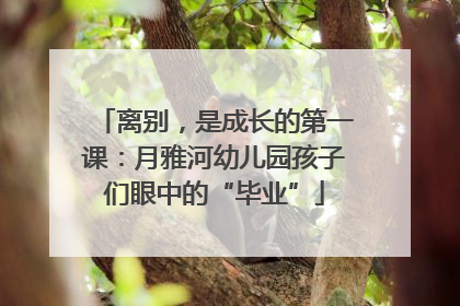 离别，是成长的第一课：月雅河幼儿园孩子们眼中的“毕业”