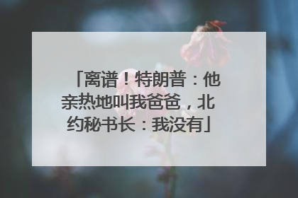 离谱！特朗普：他亲热地叫我爸爸，北约秘书长：我没有