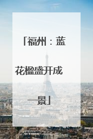 福州：蓝花楹盛开成一景