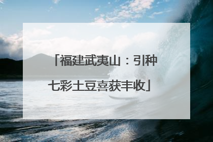 福建武夷山：引种七彩土豆喜获丰收