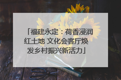 福建永定：荷香浸润红土地 文化会客厅焕发乡村振兴新活力