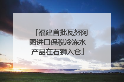 福建首批瓦努阿图进口保税冷冻水产品在石狮入仓