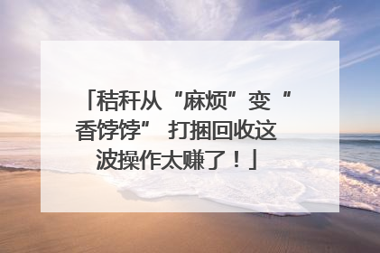 秸秆从“麻烦”变“香饽饽” 打捆回收这波操作太赚了！