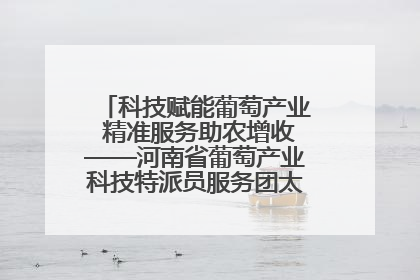 科技赋能葡萄产业 精准服务助农增收——河南省葡萄产业科技特派员服务团太康县科技服务纪实