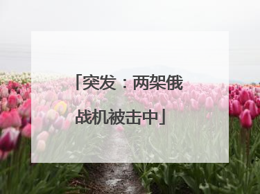 突发：两架俄战机被击中
