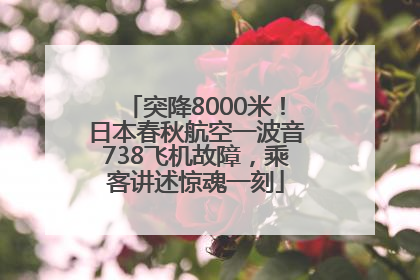 突降8000米！日本春秋航空一波音738飞机故障，乘客讲述惊魂一刻