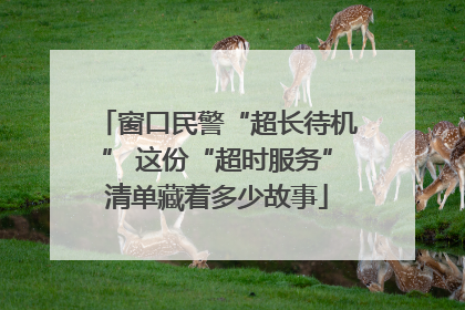 窗口民警“超长待机” 这份“超时服务”清单藏着多少故事