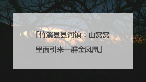 竹溪县县河镇：山窝窝里面引来一群金凤凰