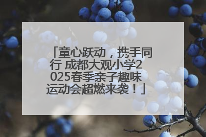 童心跃动，携手同行 成都大观小学2025春季亲子趣味运动会超燃来袭！